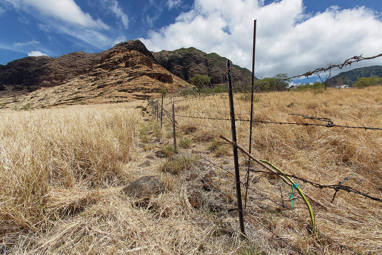 Climate change report highlights health impacts, Hawaii’s wildfire