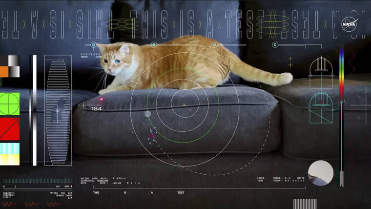 Oranje kat verschijnt in eerste video, verzonden per laser vanuit de verre ruimte