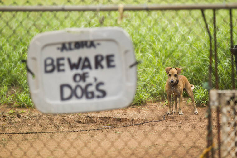 Off the news: Dog attack penalties need more teeth – Honolulu Star-Advertiser