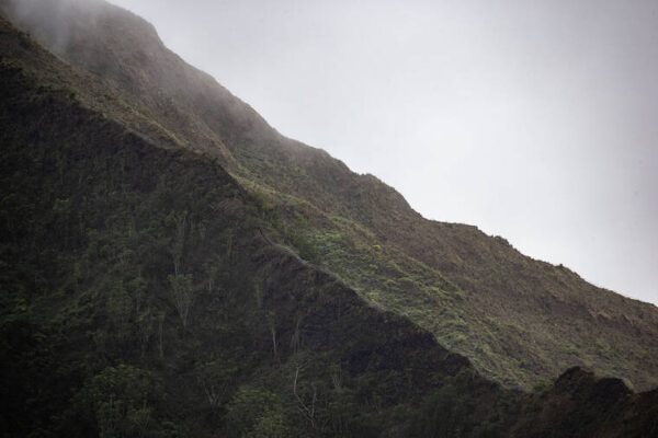 Court hears  arguments  for and against  Haiku Stairs