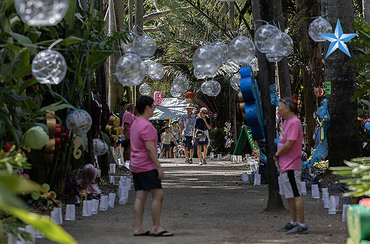 Midsummer Night’s Gleam returns to Foster Botanical Garden | Honolulu ...