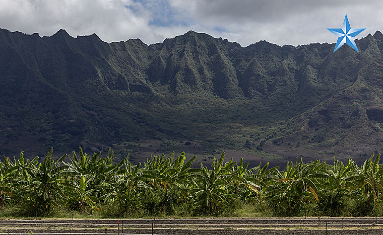 Ma‘o Organic Farms receives grant for affordable housing