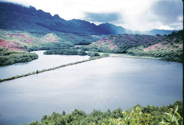 Kauai fishpond’s restoration is recognized