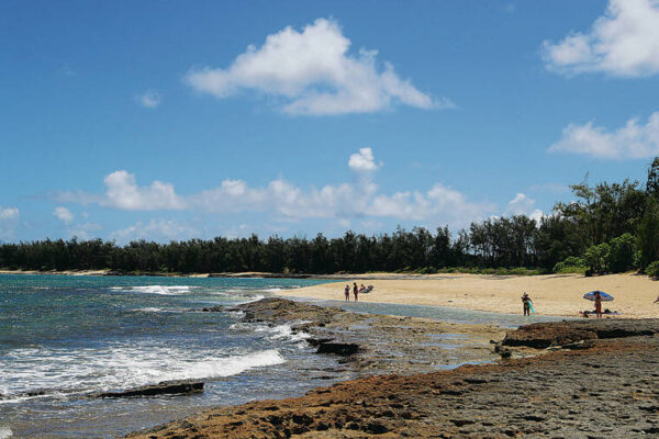 Turtle Bay resort expansion proceeding under new owners