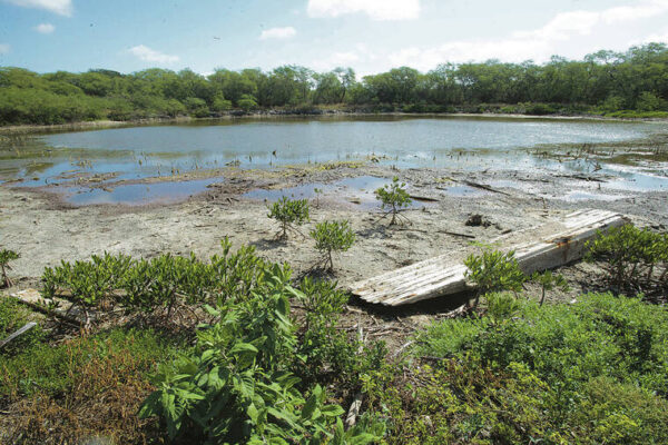 City panel mulls future of historic Ordy Pond