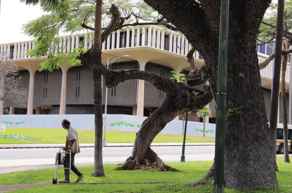 Hawaii state House reorganizes with new faces, leadership