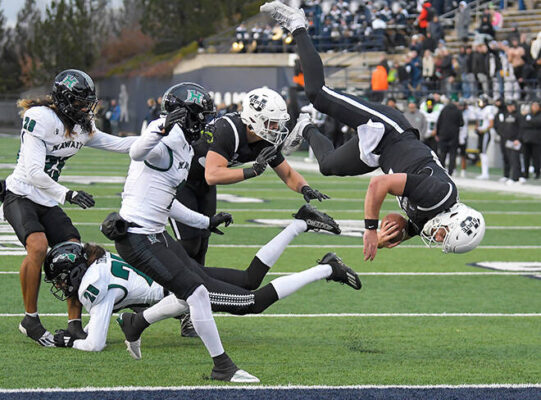 Utah State dominates wire to wire in rout of Hawaii football team