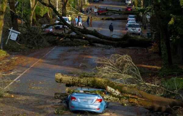 Deadly storm pounds Northwest, leaves half a million without power