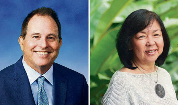 Hawaii Supreme Court affirms South Maui election results