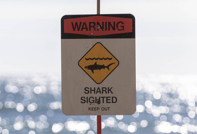 Shark warning signs, brown water advisory posted at Waimea Bay