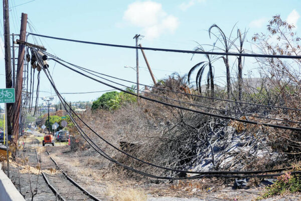 Hawaiian Electric submits wildfire safety plan