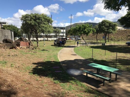 City parks ‘follow-up’ audit completed