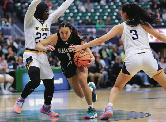 Hawaii women’s basketball runs winning streak to 13 games